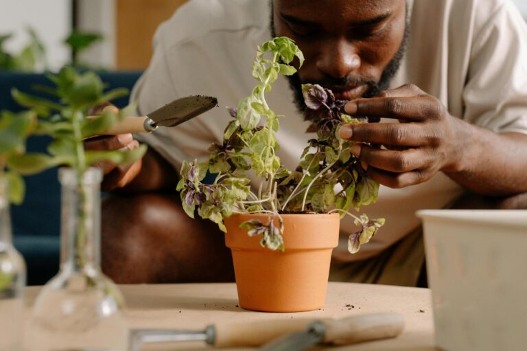 Dicas para Prevenir Vazamentos em Casa e Garantir Sua Saúde e Bem-Estar