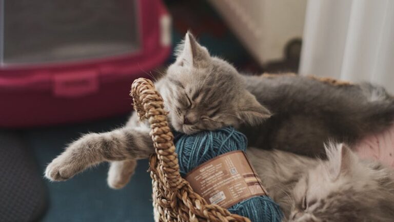 Como o Sono de Qualidade Impacta seu Desempenho na Corrida – Dicas Essenciais